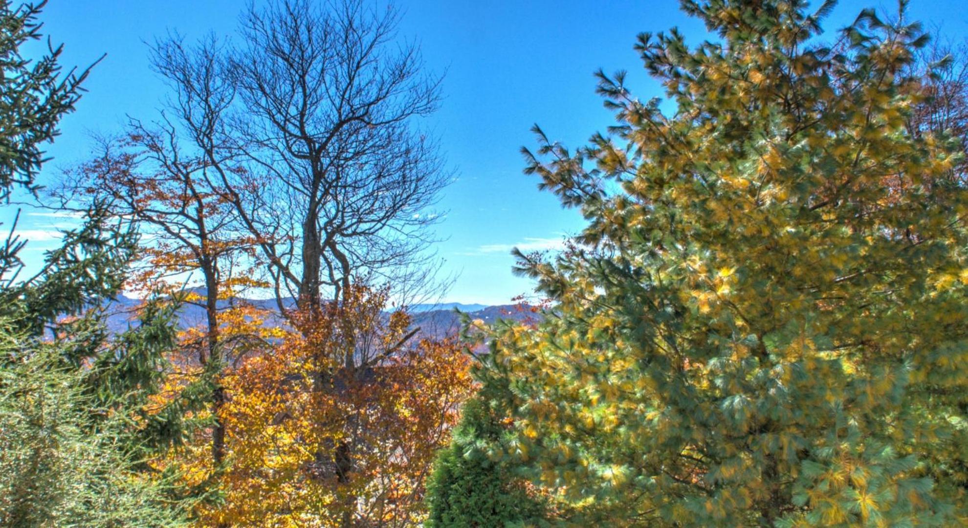 Klonteska Condominiums By Vci Real Estate Services Beech Mountain Quarto foto